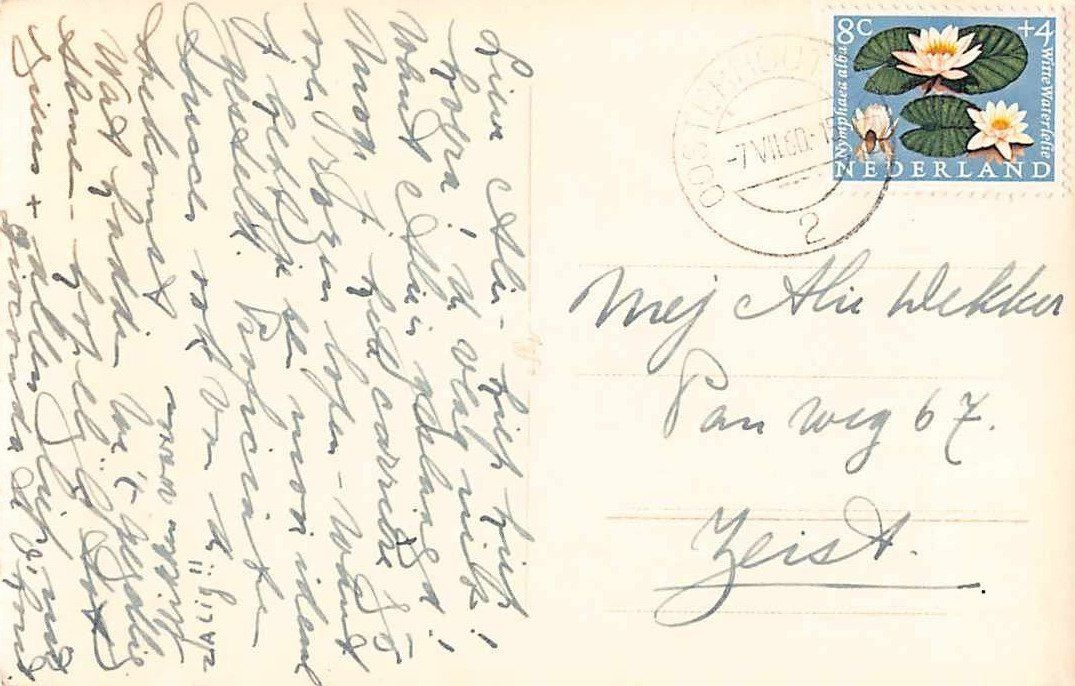 Cartoline postali: Ab 1.--    Ansichtskarte EXOTIQUE: OOSTERHOUT NL – Usato da Lufingen venduto da SchnaeppliCorner 1