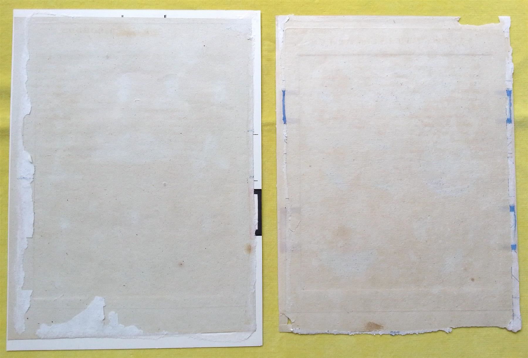 Incisioni: Kupferstich 2x Schädlinge, J. Schmuzer, um 1790 – Usato da Oberriet SG venduto da ganesh435 1
