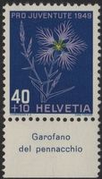 40 Rp. Pachtnelke mit TAB (Garofano del pennacchio)