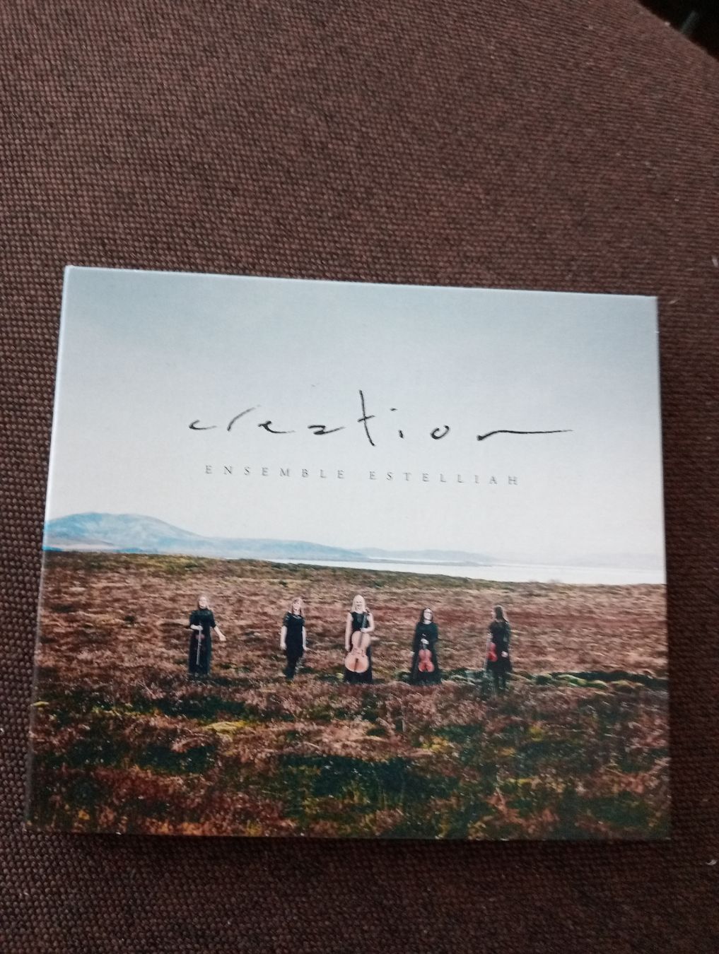 CD: CD Ensemble Estelliah Creation 2017 neuwertig – Usato da Frenkendorf venduto da RedTsunami23