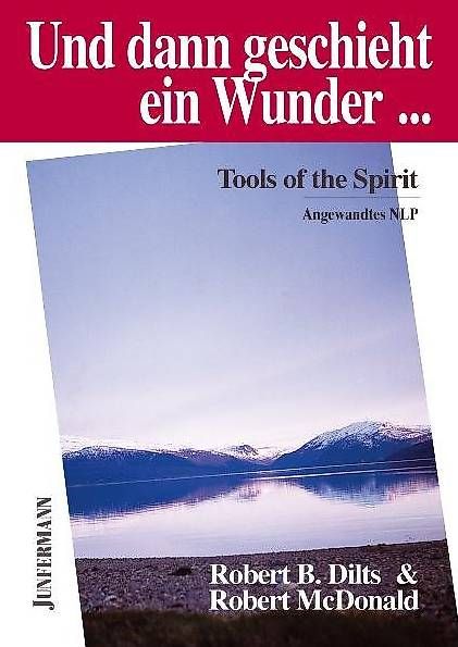 Bücher: Und dann geschieht ein Wunder Robert Dilts+Robert McDonald – Gebraucht aus Aarau von vio_lrn7