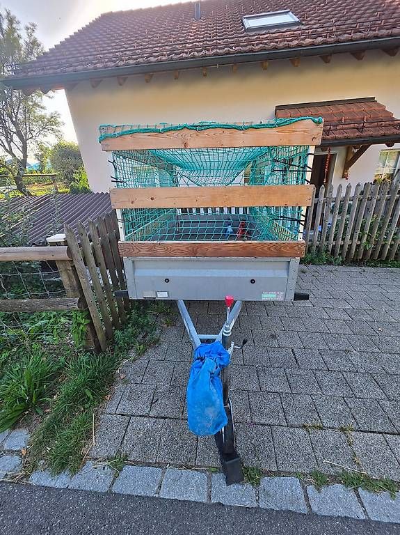 Rimorchi: Anhänger 750 kg – Usato da Wald ZH venduto da tui_b5y8 1