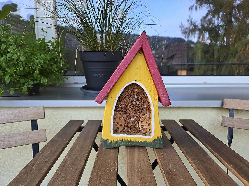 Alveari: Insektenhotel – Usato da Rorschach venduto da festiva 1