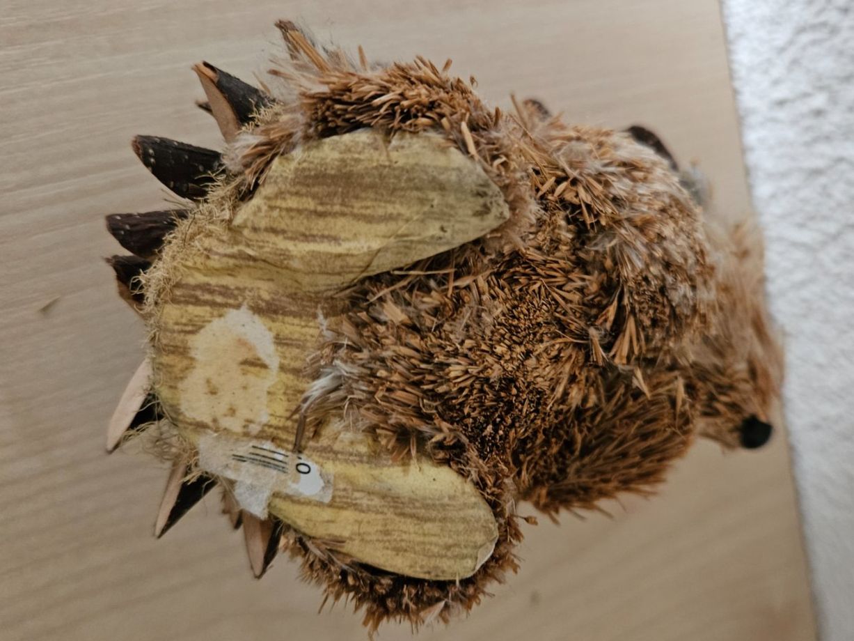 Alle Dekorationen: Igel , Dekoration – Gebraucht aus Jona von ASMARADO 3