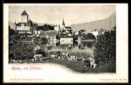 AK Spiez, Ortsansicht mit Schloss