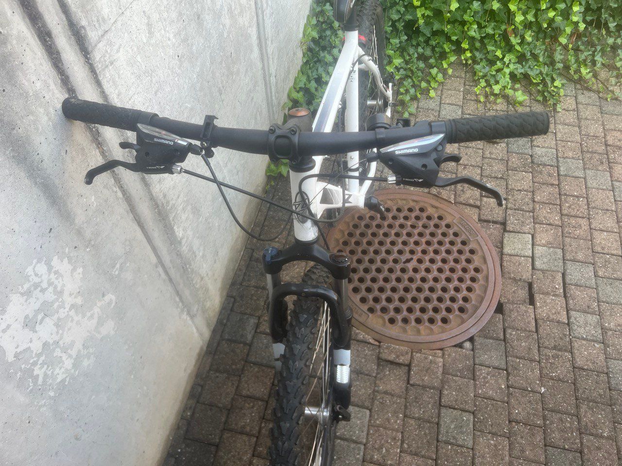 Biciclette: PRINCETON Mountainbike – Usato da Nottwil venduto da Ape4 2