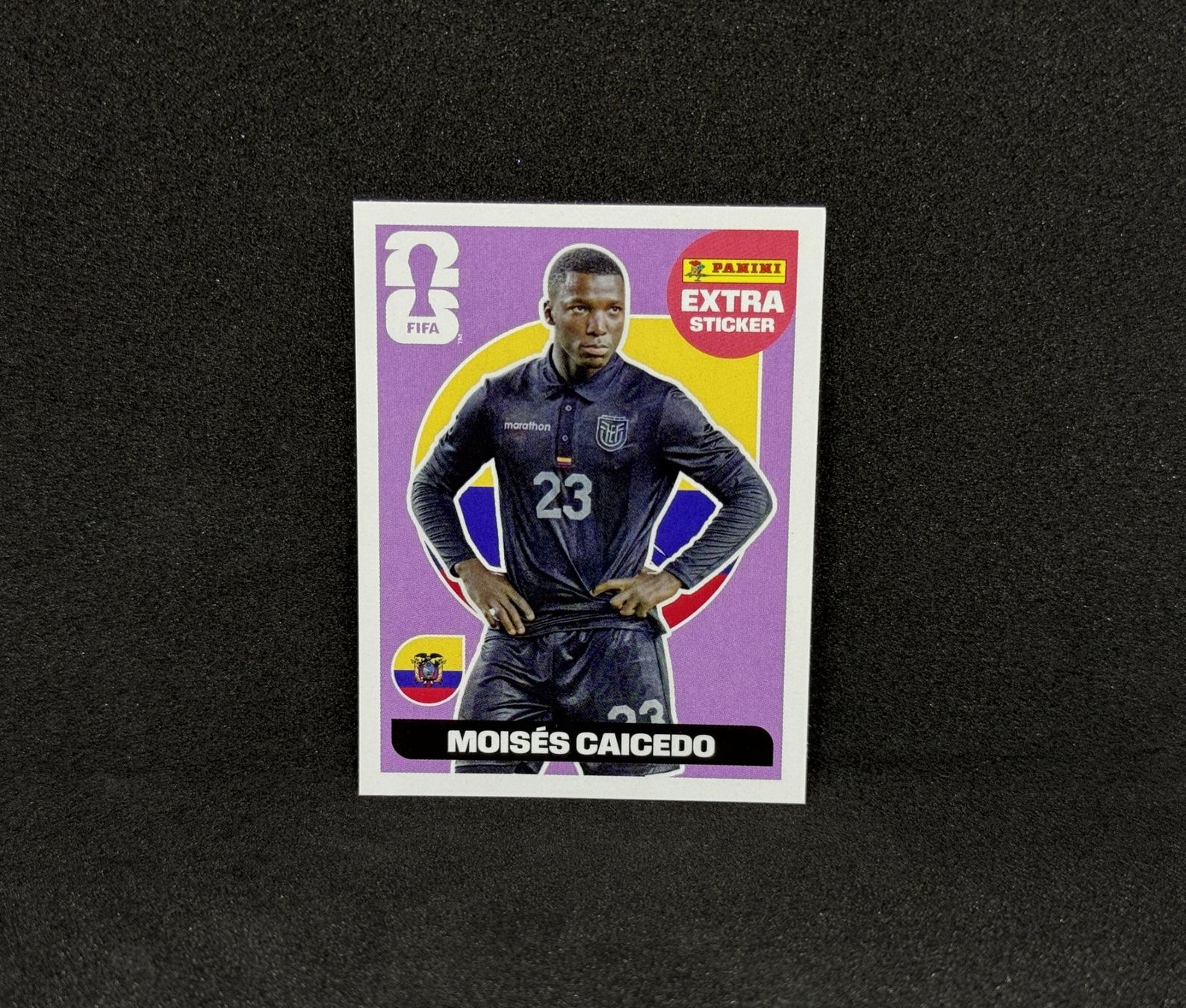 Panini Carte collezionabili: Moises Caicedo Panini 2026 Extra Sticker Regular Base Violet – Nuovo (secondo la descrizione) da Blonay venduto da DeckZone