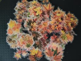 Lot de stickers feuilles d'automne, neuf