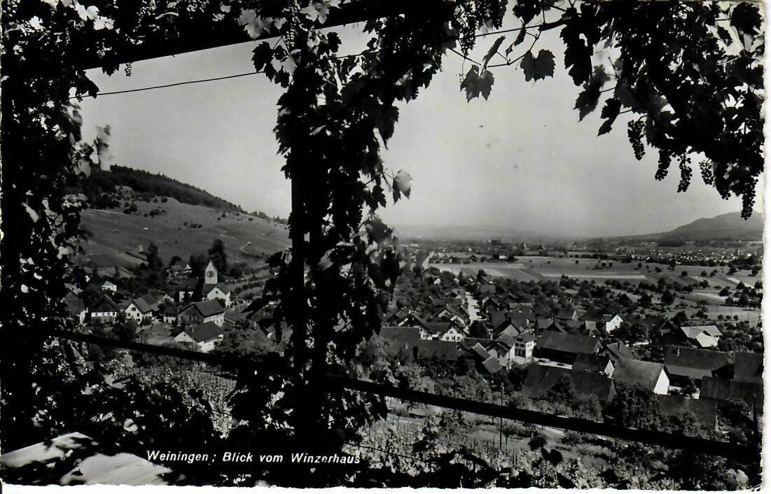 Cartes postales: Weiningen – D'occasion à Hochdorf par Ziegel-16