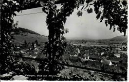 Weiningen