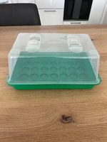 Anzuchtbox romberg