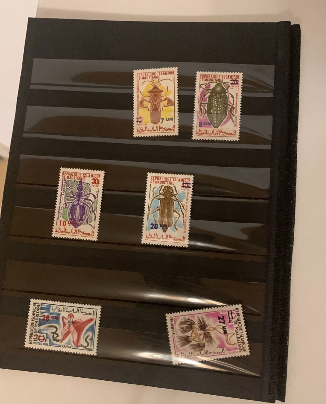 Tutti i francobolli: Retro Briefmarken – Nuovo (secondo la descrizione) da Ostermundigen venduto da Gambatesa