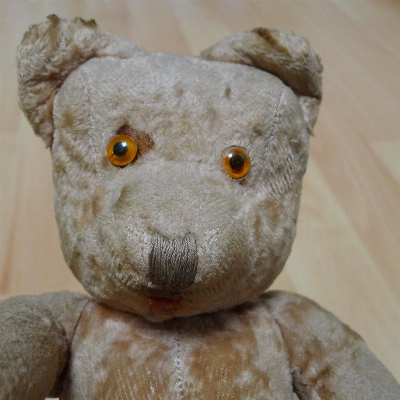 Bambole: Antiker Teddy, sehr guter Zustand – Usato da Ebikon venduto da SilvioFreund 1