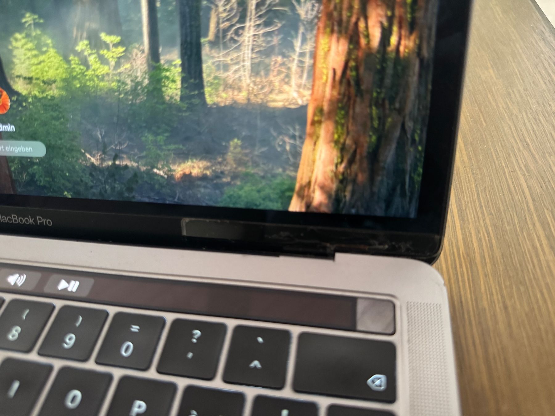Apple Notebook: MacBook Pro 2018 – Usato da Schänis venduto da Animus1 3