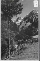 Kandersteg - Selden im Gasterntal - Photo: E. Gyger