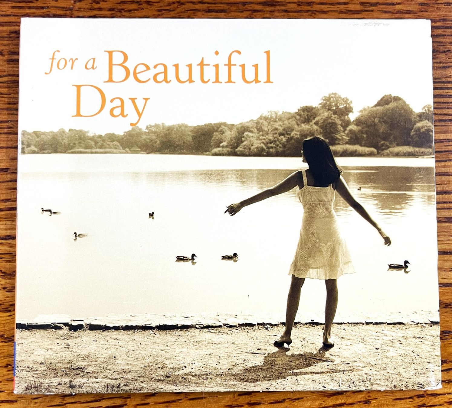 CD: For a Beautiful Day CD – Usato da Oftringen venduto da Vucki