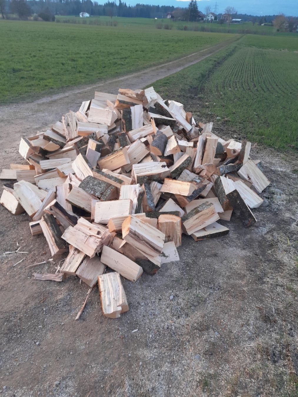Articles en bois: Brennholz Laubholz – D'occasion à Inkwil par karlheinz07