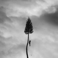 Manchester Orchestra - Black Mile To The Surface (Digipack)