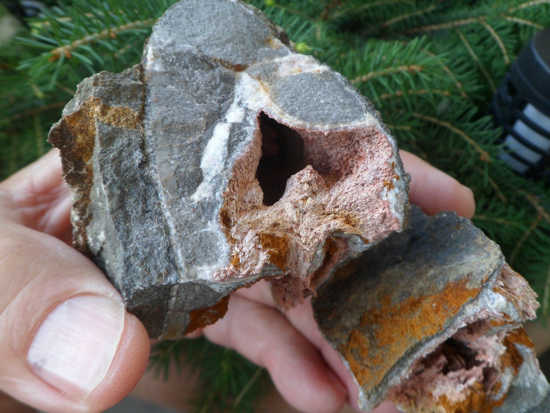 Fossili: Ammonitstück dreiteilig. Schweiz – Usato da Affoltern am Albis venduto da Fossil60 5