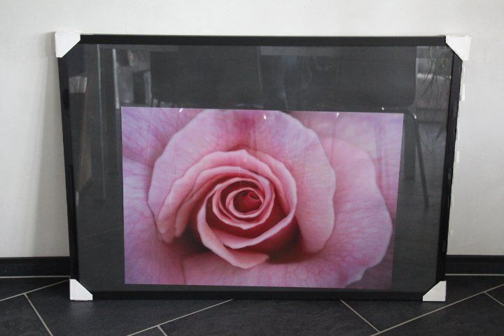 Foto & Immagini: Foto mit Wechselrahmen 70 x 100 cm – Usato da Eschenbach SG venduto da Anisti13 2