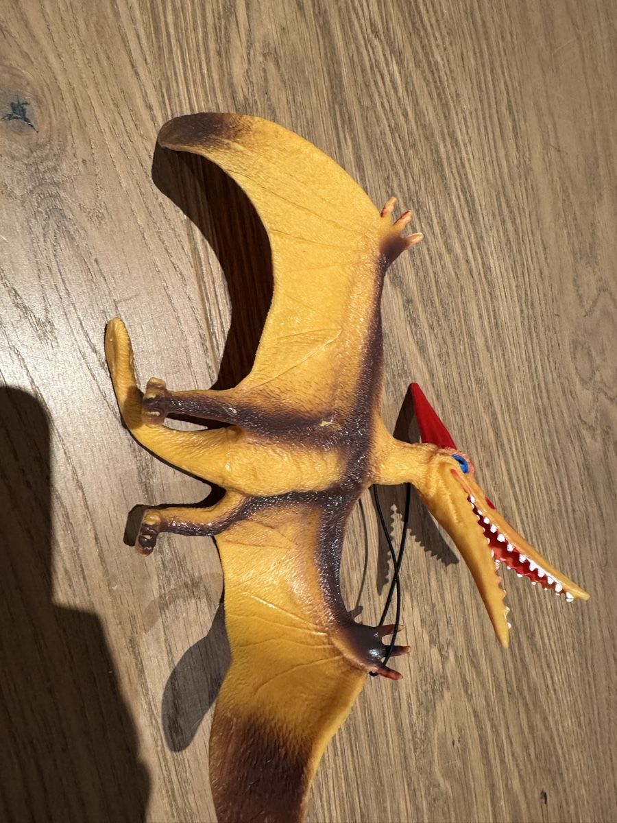 Spielzeuge: Pteranodon Figur zum Aufhängen & Spielen – Gebraucht aus Küsnacht ZH von ToddyGinger 3