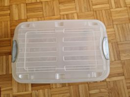 Unterbettbox mit Rollen (klein) von Rotho