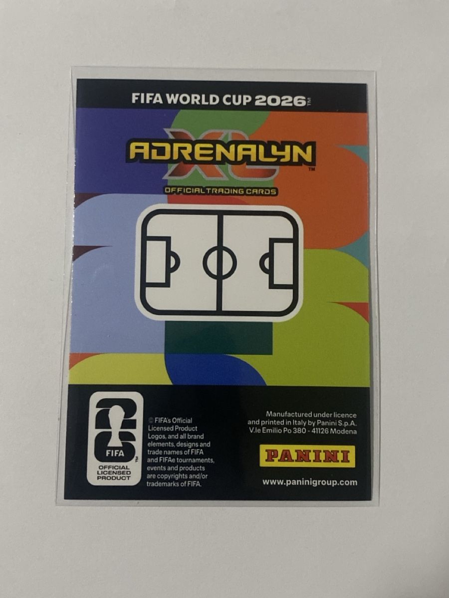 Panini Carte collezionabili: World Cup 2026 Contenders – Nuovo (secondo la descrizione) da Winterthur venduto da SeanTrieb 1