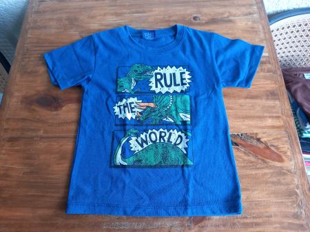 T-shirt enfant bleu motif dinosaure taille 6 ans
