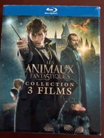Blu-ray Les Animaux Fantastiques - Collection 3 Films!