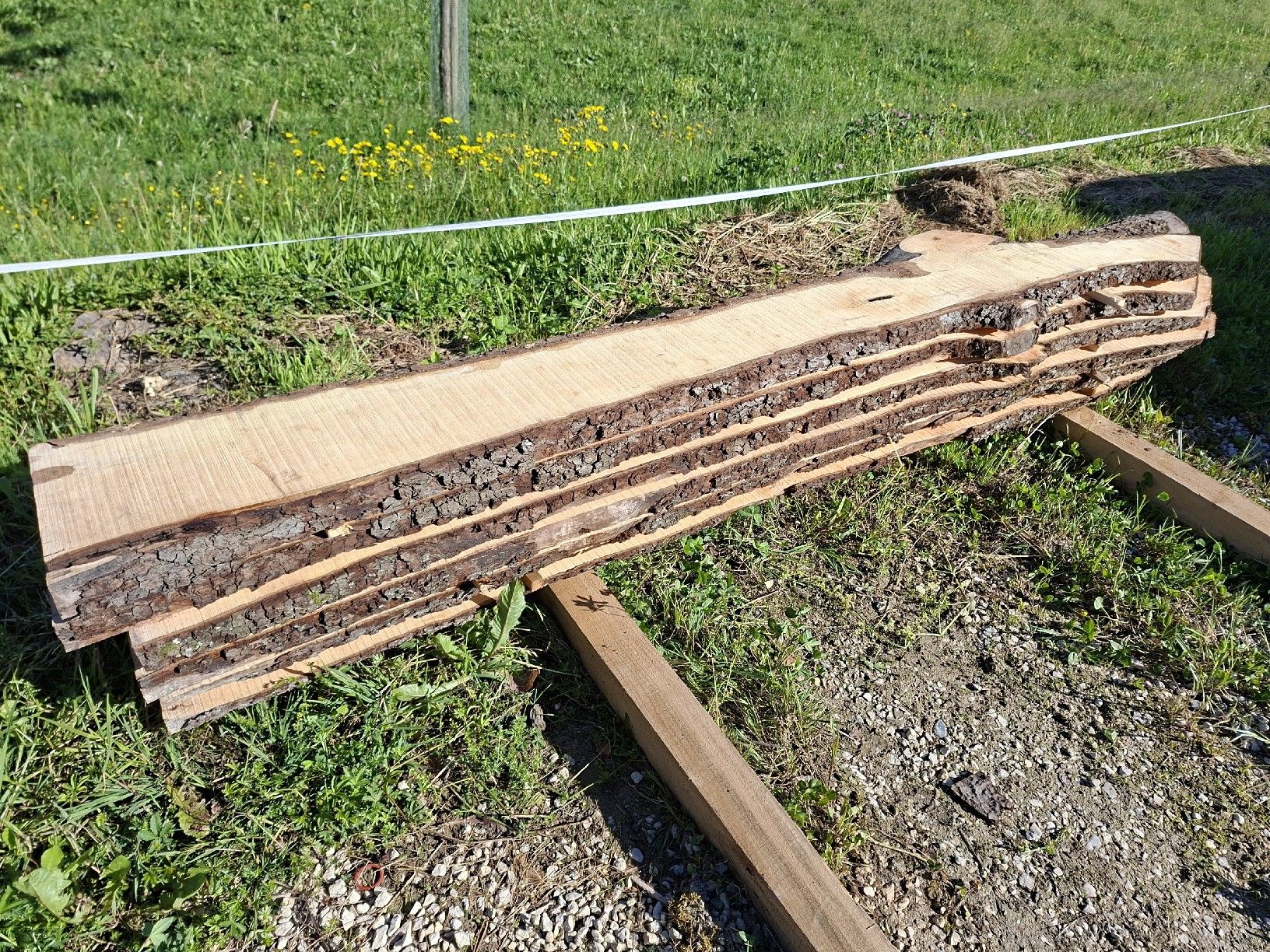 Articoli in legno: Birnenbaumbretter 45mm – Nuovo (secondo la descrizione) da Büren SO venduto da baschi87 1