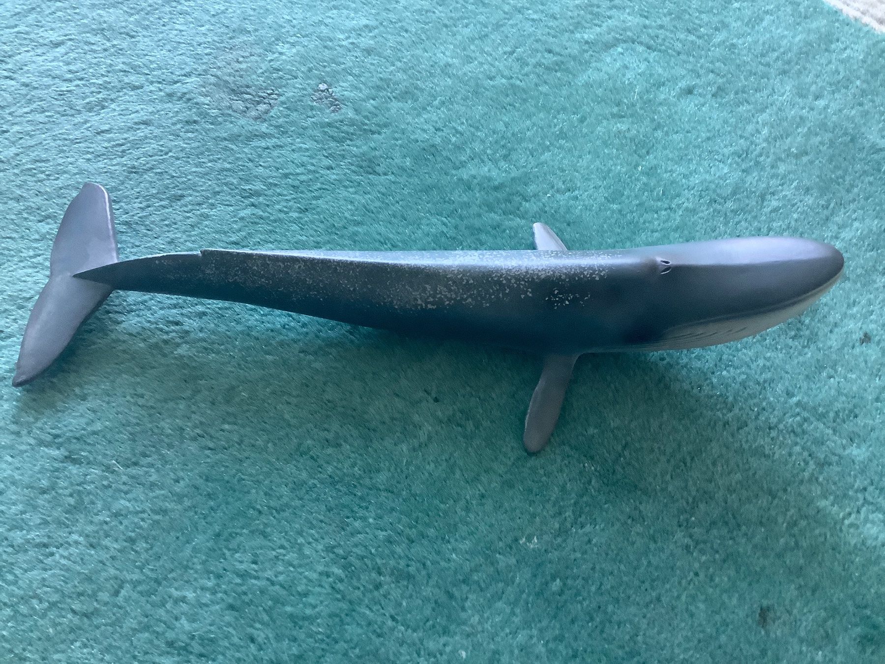 Schleich Statuette: Wal von Schleich – Nuovo (secondo la descrizione) da Zürich venduto da Verde21 3