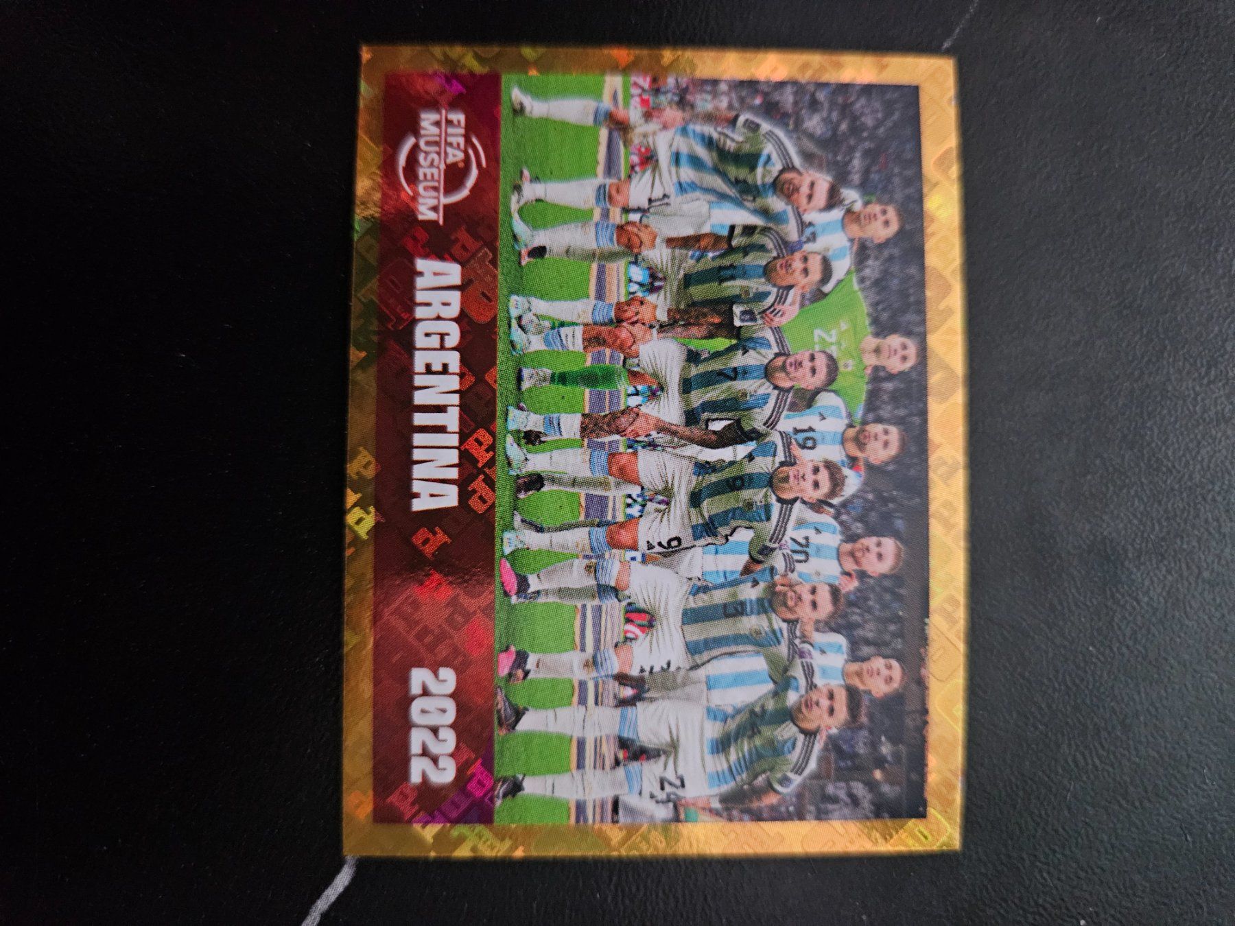 Panini Sammelbilder & Trading cards: FWC 19 – Gebraucht aus Würenlingen von Dinli