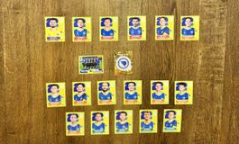 Bosnien Herzegowina Panini WM 2026