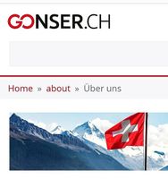 Gutschein von Gonser.ch 110.-