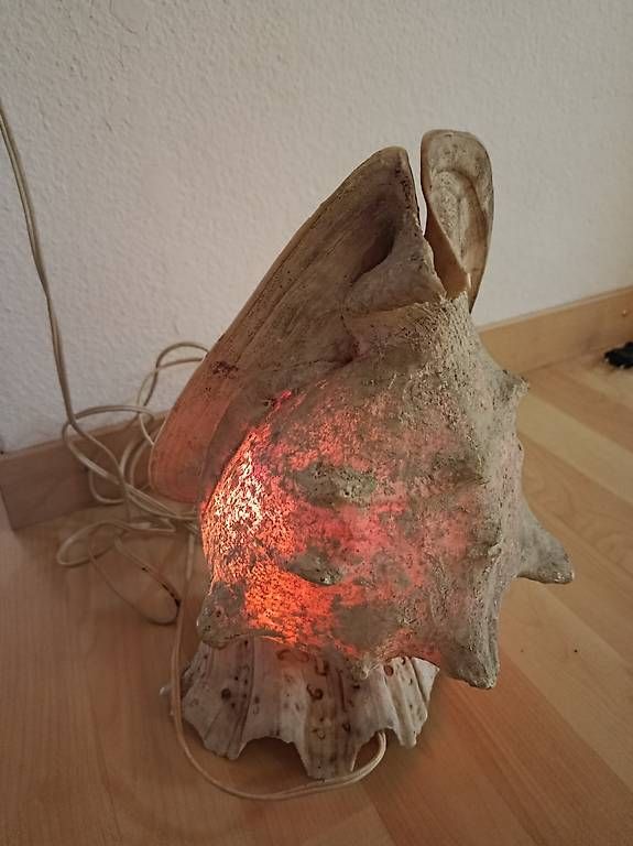Lampen: Muschellampe – Gebraucht aus Adlikon b. Regensdorf von Gerie01 2