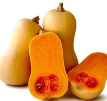 Ab 5.- fr 10 Samen Graines Semi Seeds Kürbis “BUTTERNUT”‪‪‪