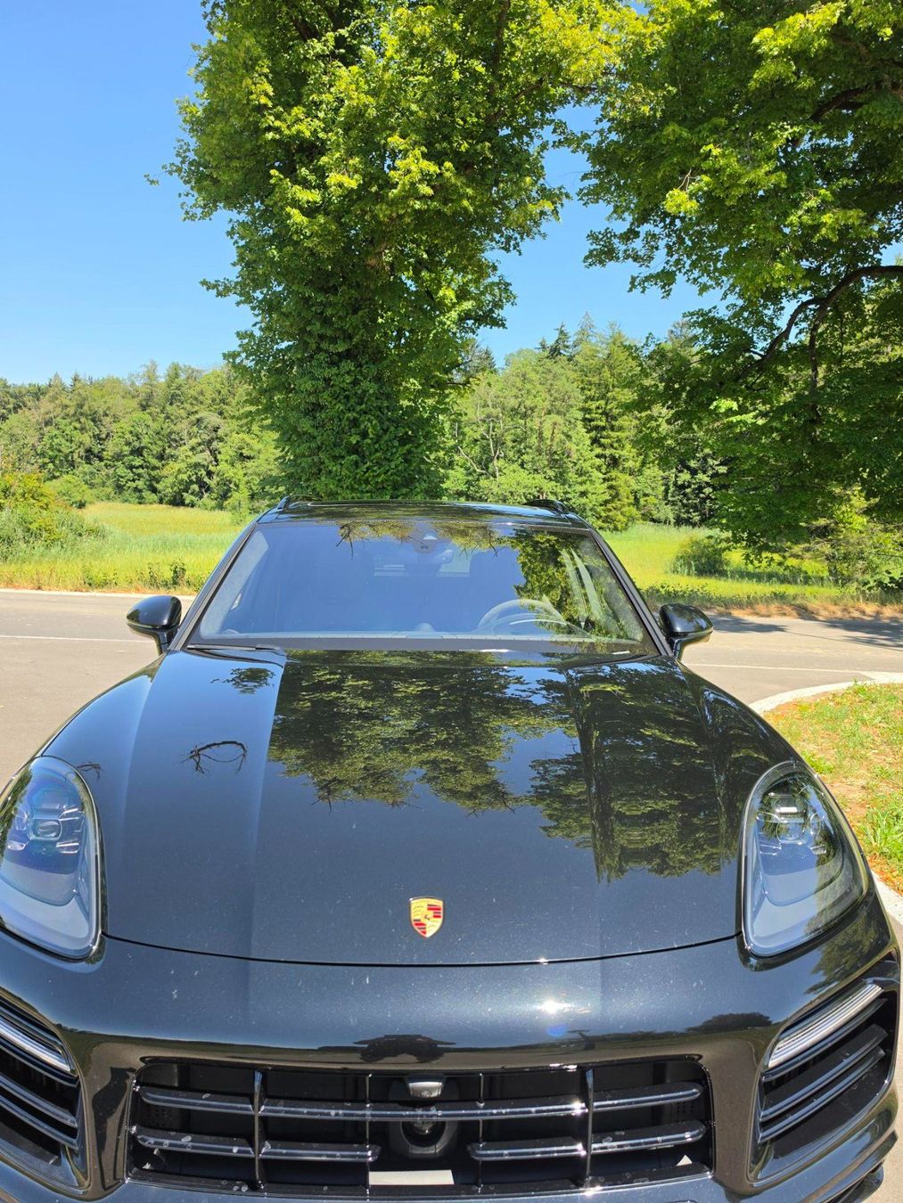 Porsche Automobili: Porsche Cayenne E-Hybrid Platinum Edition | 462 PS – Usato da Tägerwilen venduto da Mritzl1 2