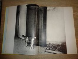 Picasso Rares interessantes Fotobuch