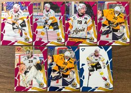 Sportzoo 25/26 - HC Ajoie (Pink & Blue)
