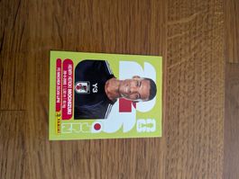 Panini Japan 3