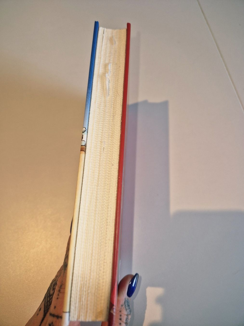 Bücher: Buch Die grosse Adventsverschwörung – Gebraucht aus Stüsslingen von white_angel86 1