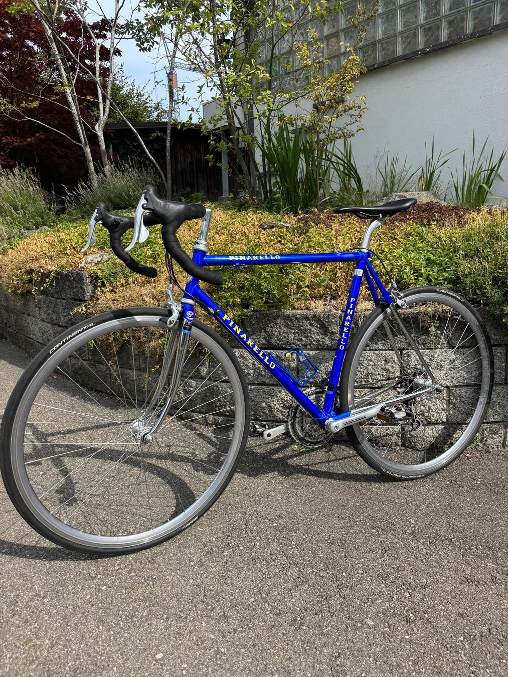Biciclette: Pinarello Stelvio mit Campagnolo Komponenten – Usato da Berg SG venduto da cil_p8z9