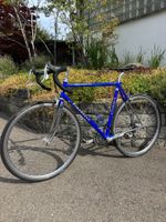Pinarello Stelvio mit Campagnolo Komponenten