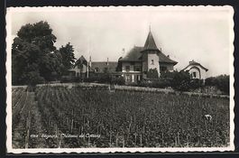AK Begnins, Château de Cottens, 1946