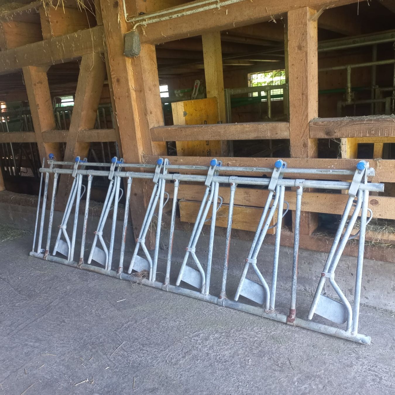 Altro in Accessori per animali: Fressgitter für Kälber – Usato da Rieden SG venduto da Sirene6