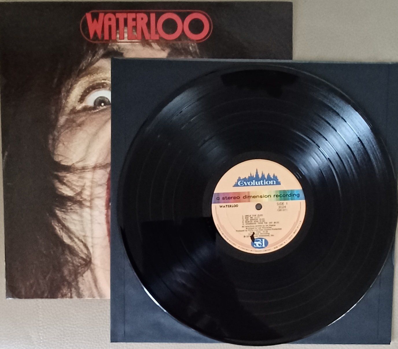 Dischi in vinile: WATERLOO / Prog Rock,  Psychedelic Rock 1974 US – Usato da Hägendorf venduto da Plattenhardt 3