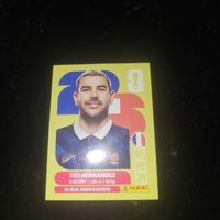 panini