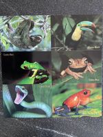 6 Postkarten Tiere Costa Rica