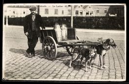 Ostende, Le Laitier, Hundegespann vor ei