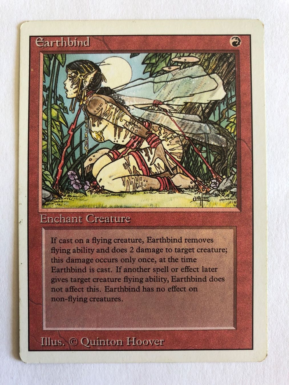 Magic The Gathering Carte collezionabili: MTG - Earthbind (Revised!) - #direktkauf – Usato da Basel venduto da Melchior5